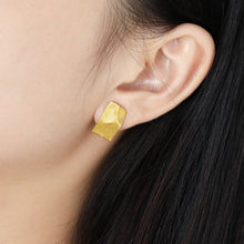 Irregular Rectangle 925 Sterling Silver Stud Earrings